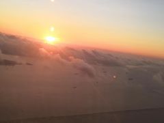-上海浦东国际机场-T2航站楼