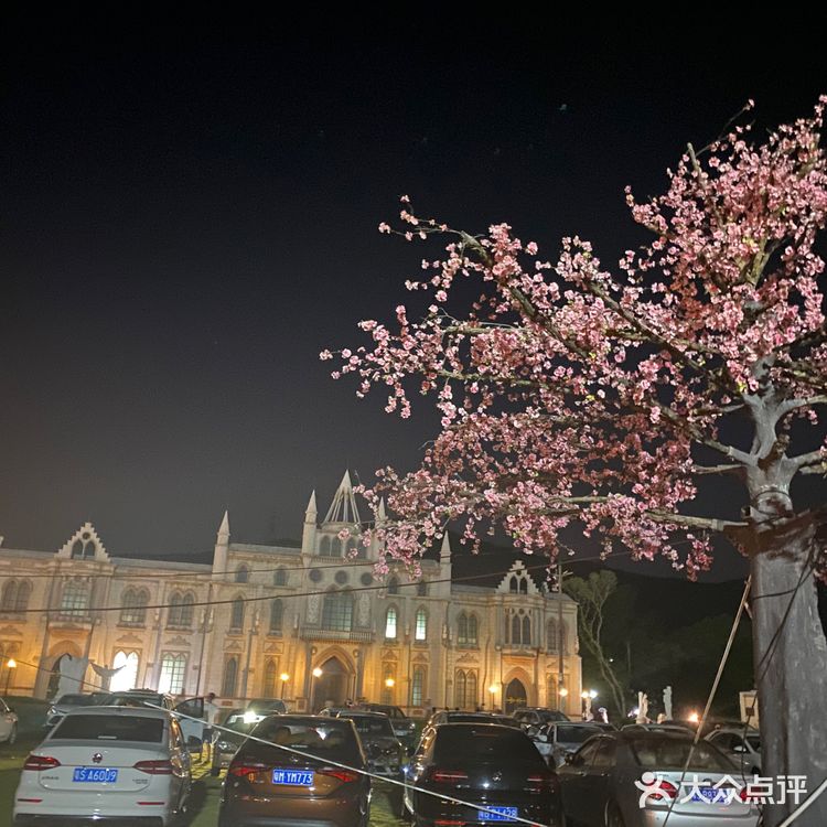 玫瑰海岸,一个可以骑马的海滩,有很多来拍婚纱照的