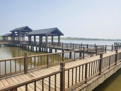 -天津东丽湖风景区