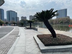 -杭州城北体育公园