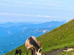 -灵山