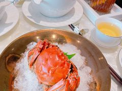 -人间采蜜(海信广场店)