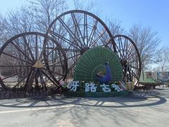 -呀路古热带植物园