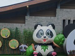 -都江堰中华大熊猫苑