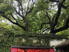 -宁波市保国寺古建筑博物馆