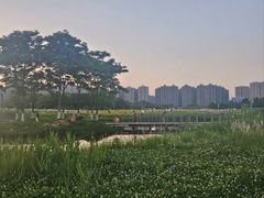 -洋湖国家湿地公园