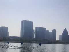 -金沙湖公园