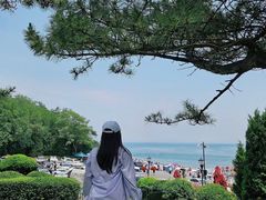 -棒棰岛宾馆景区