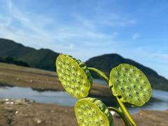 -罗坑大草原