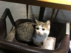 -IFIF 如果花園(宽厚里店)
