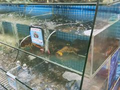 -范饭椰林川湘味海鲜·椰子鸡(三亚湾椰梦长廊店)