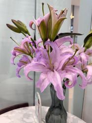 -妈妈时光机医疗产后修复(南山茂业百货店)