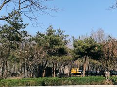-古塔公园