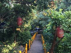 -晓雯人家
