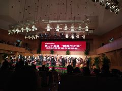 -南京艺术学院音乐厅