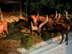 -清迈夜间动物园