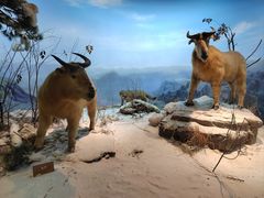 -陕西自然博物馆