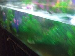 -梅筑·创意料理(王府井百货店)