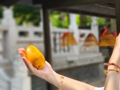 -西安大兴善寺