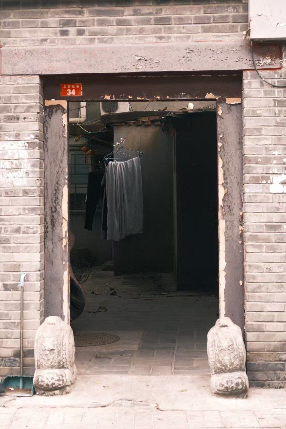 北京胡同串子