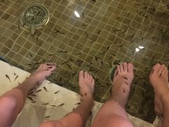 鱼疗-中家鑫园温泉酒店鑫悦汤泉