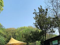 -WeLope紫金山探险公园