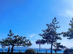 -八大峡公园