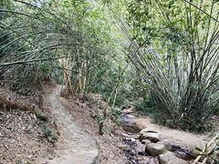 -滴水岩森林公园