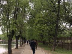 -二一九公园