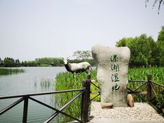 -溱湖国家湿地公园