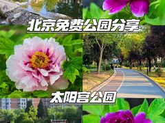 -太阳宫公园