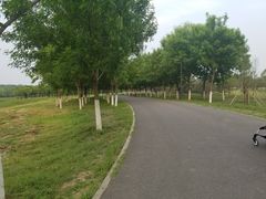-东郊湿地公园