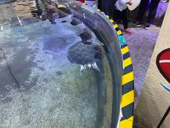 -鸿通城购物中心