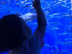 -成都浩海立方海洋公园