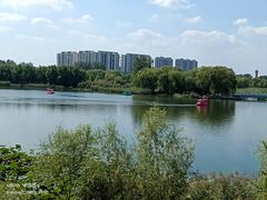 -大兴滨河森林公园