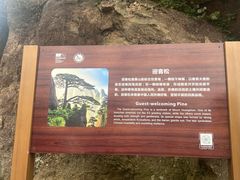 -大傻徽菜园·中国徽菜大师(老街店)