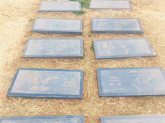 -野鸭湖国家湿地公园