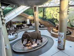 -陕西自然博物馆