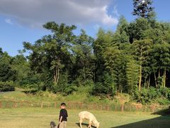 -杭州开元森泊度假乐园