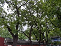 -北京国子监胡同