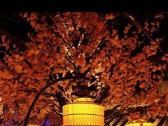 -绿茶餐厅(昌平悦荟店)