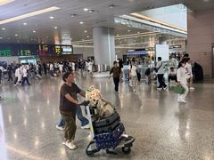 -上海浦东国际机场-T2航站楼