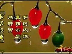 -通一顺老北京炭火锅(玉桥西路店)