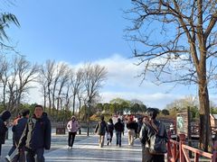 -圆明园遗址公园-藻园门售票处