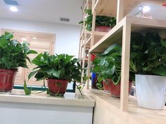 -楼外楼大刀肉传统火锅居(博学路店)