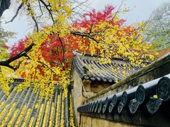 -青岛崂山太清宫