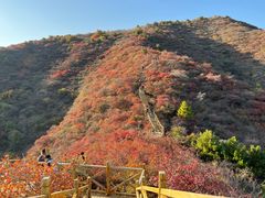-水峪民俗村