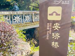 -雁南飞茶田景区