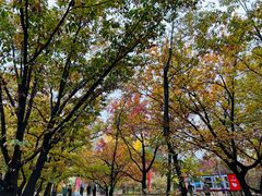 -国家植物园南园