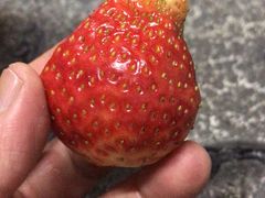 -星火东北碳火烤肉(华大店)